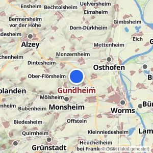 Kartenvorschau Gundheim