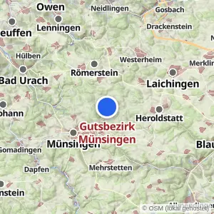 Kartenvorschau Gutsbezirk Münsingen