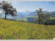 Titelbild für Das komplette Projekt wird als KfW-Effizienzhaus 70 ausgeführt. Besonders attraktive