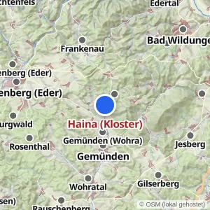 Kartenvorschau Haina (Kloster)