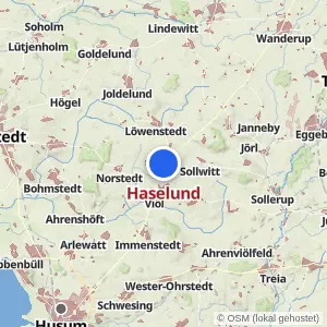 Kartenvorschau Haselund