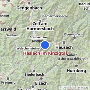 Kartenvorschau Haslach im Kinzigtal