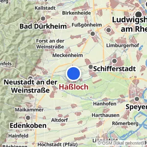 Kartenvorschau Haßloch