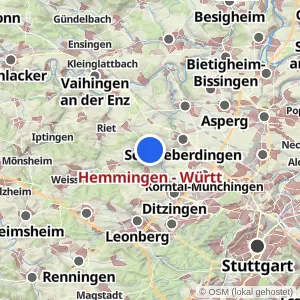 Kartenvorschau Hemmingen - Württ