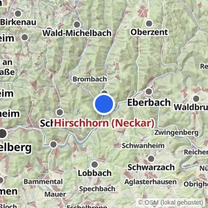 Kartenvorschau Hirschhorn (Neckar)