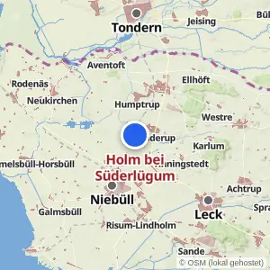 Kartenvorschau Holm bei Süderlügum
