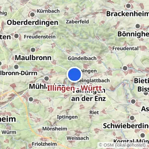 Kartenvorschau Illingen - Württ