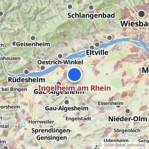 Kartenvorschau Ingelheim am Rhein