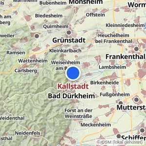 Kartenvorschau Kallstadt