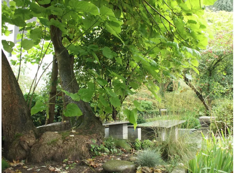 grün angelegte Sitzplätze (3)