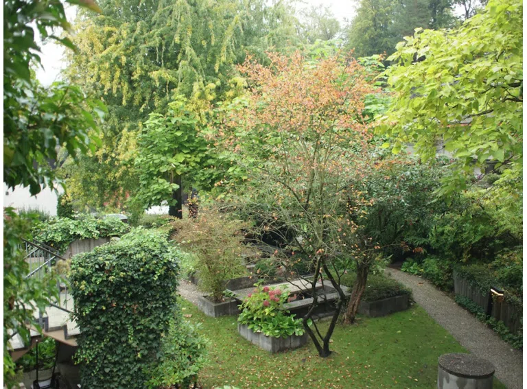 herbstliche Impressionen