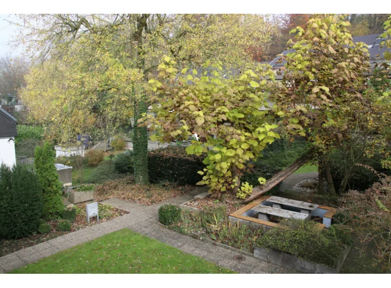 herbstlicher Wohnpark + Weg zur Sauna