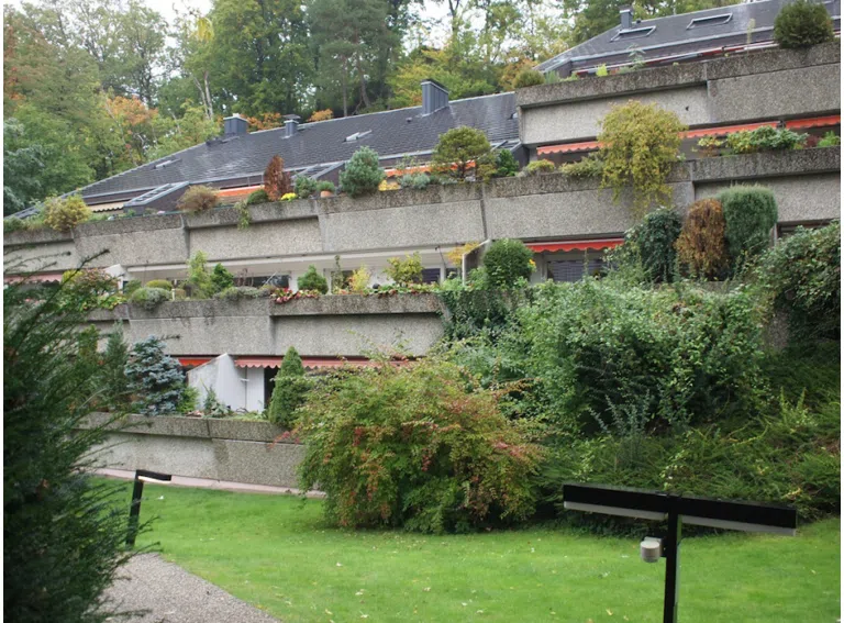 Zuweg durch die Parkanlage (2)