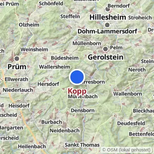 Kartenvorschau Kopp