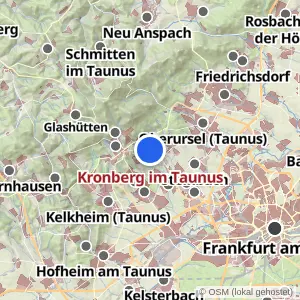Kartenvorschau Kronberg im Taunus