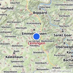 Kartenvorschau Leiningen