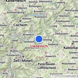 Kartenvorschau Liesenich