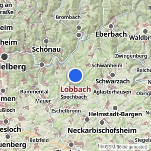 Kartenvorschau Lobbach