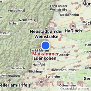 Kartenvorschau Maikammer