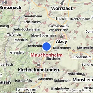 Kartenvorschau Mauchenheim
