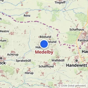 Kartenvorschau Medelby