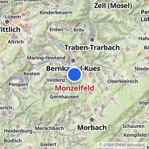 Kartenvorschau Monzelfeld