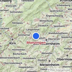 Kartenvorschau Monzingen