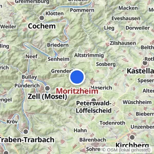 Kartenvorschau Moritzheim