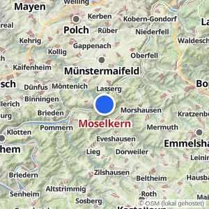 Kartenvorschau Moselkern
