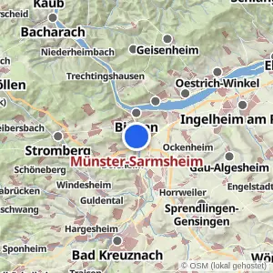 Kartenvorschau Münster-Sarmsheim