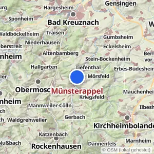 Kartenvorschau Münsterappel