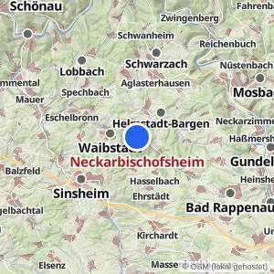 Kartenvorschau Neckarbischofsheim