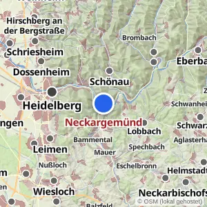 Kartenvorschau Neckargemünd
