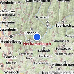 Kartenvorschau Neckarsteinach