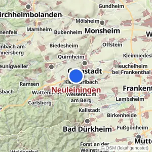 Kartenvorschau Neuleiningen