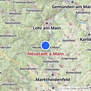 Kartenvorschau Neustadt a.Main