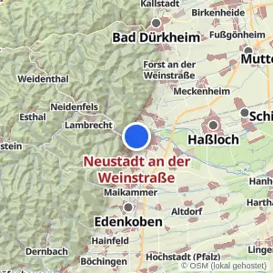 Kartenvorschau Neustadt an der Weinstraße