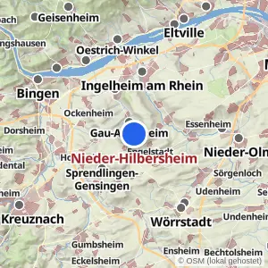 Kartenvorschau Nieder-Hilbersheim