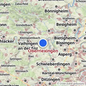 Kartenvorschau Oberriexingen