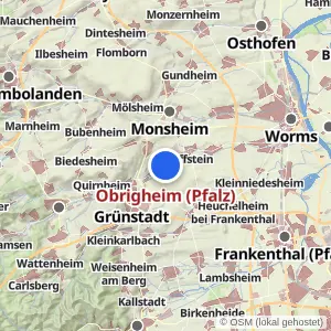 Kartenvorschau Obrigheim (Pfalz)