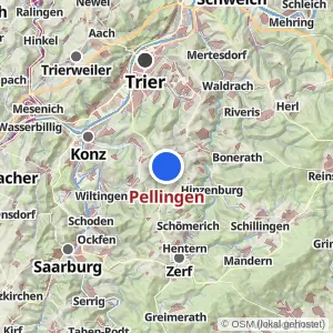 Kartenvorschau Pellingen