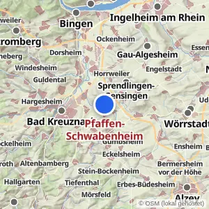 Kartenvorschau Pfaffen-Schwabenheim