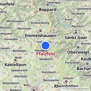 Kartenvorschau Pfalzfeld
