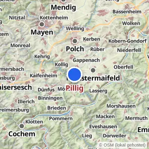 Kartenvorschau Pillig