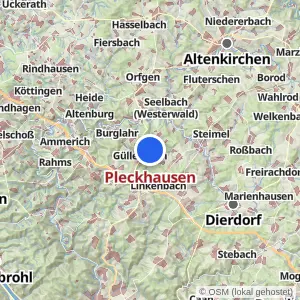 Kartenvorschau Pleckhausen
