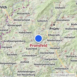 Kartenvorschau Pronsfeld