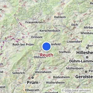 Kartenvorschau Reuth