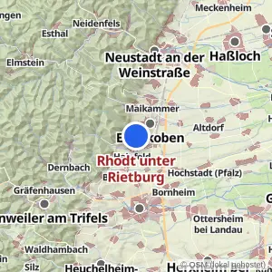 Kartenvorschau Rhodt unter Rietburg