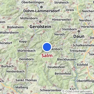 Kartenvorschau Salm