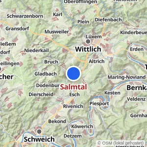 Kartenvorschau Salmtal